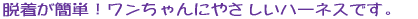 �E�����ȒP�I���������ɂ₳�����n�[�l�X�B